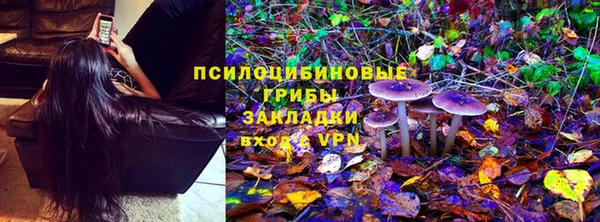 прущий лед Дмитров
