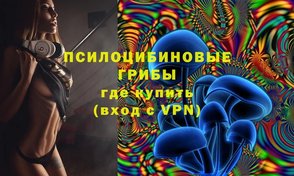 мескалин Дмитриев